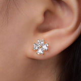 c08ad40c-e93a-4f79-a552-765df6a60cfc-Max-Origin